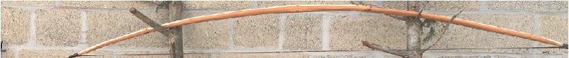Bannière yew longbow